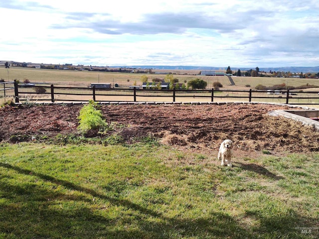 view of yard with a rural view