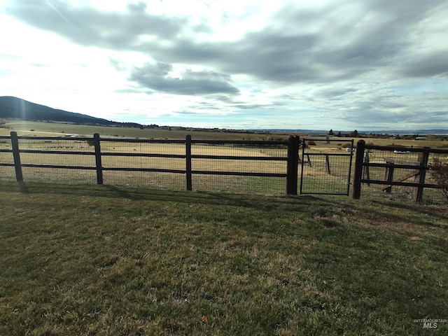 view of yard with a rural view and a mountain view