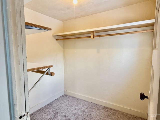 walk in closet with light colored carpet