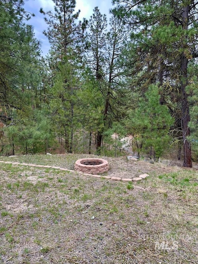 view of yard featuring a fire pit and a view of trees