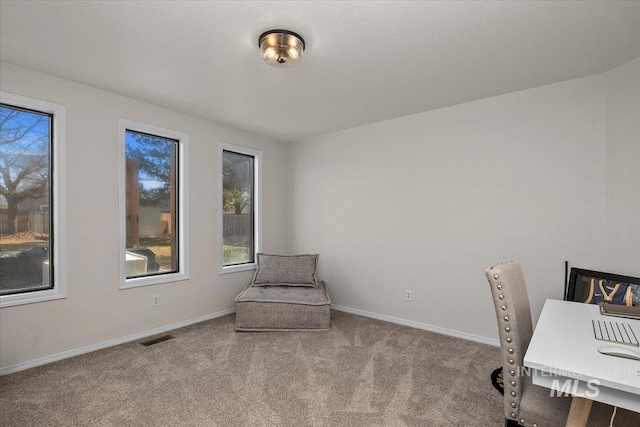 carpeted office with visible vents and baseboards