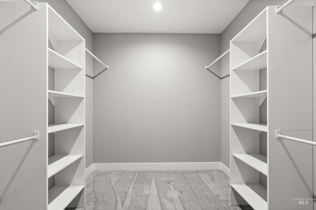 walk in closet with carpet