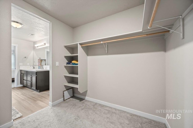 walk in closet featuring light colored carpet