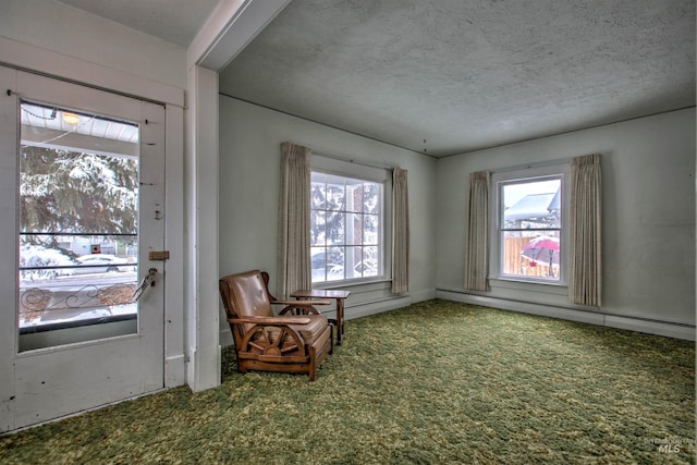 unfurnished room with carpet, a textured ceiling, and a baseboard radiator