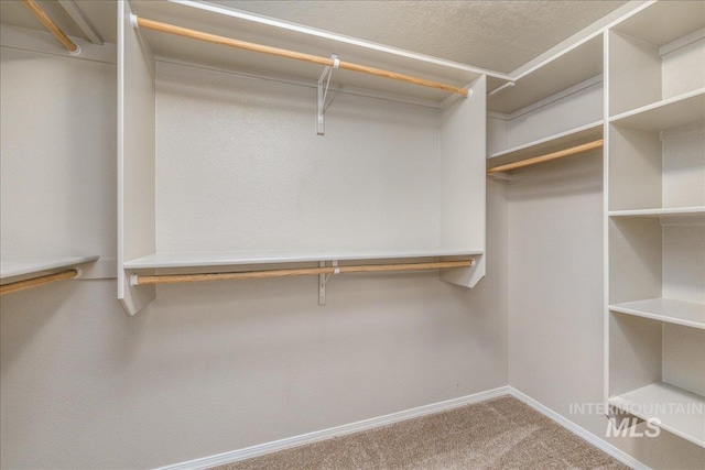 4665 N Beaham Ave, Meridian, ID 83646 - walk in closet featuring carpet floors