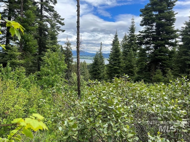 76 Arling Trl, Donnelly, ID 83615