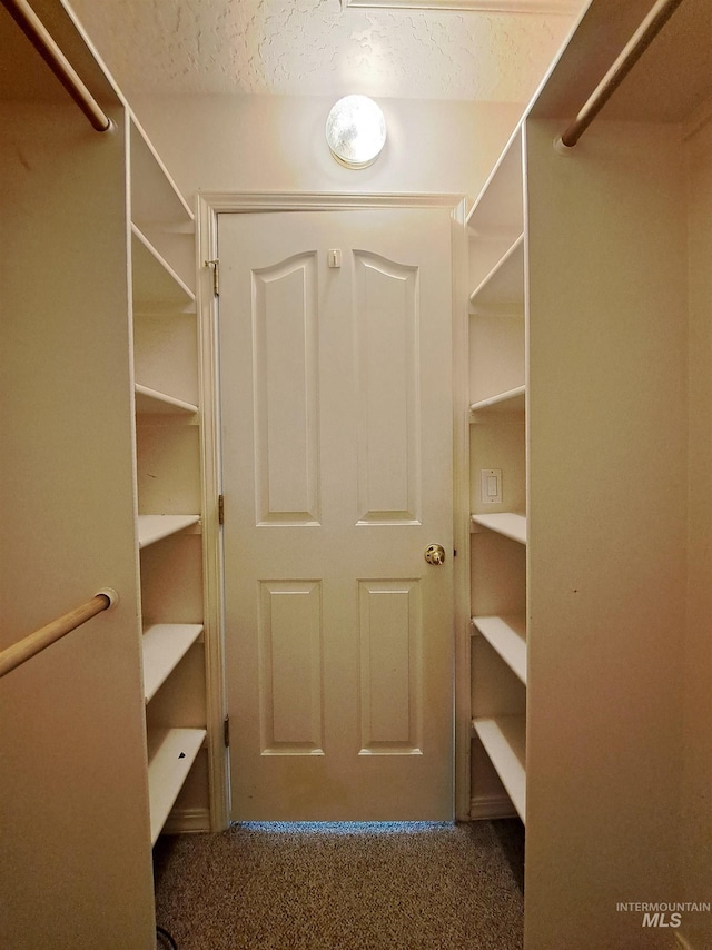 spacious closet featuring carpet