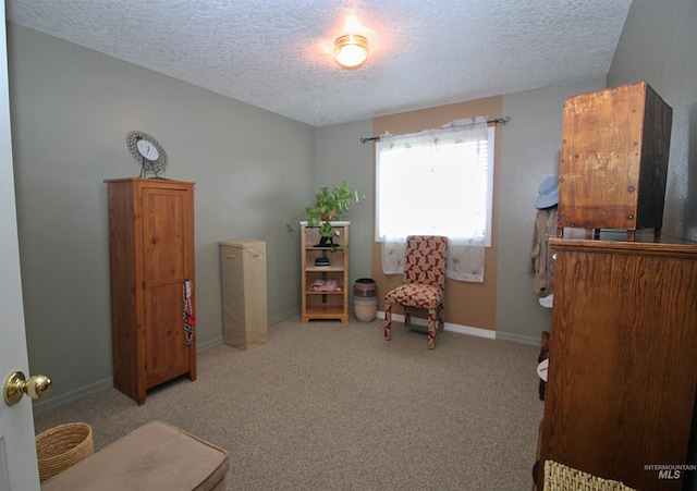 sitting room with baseboards, a textured ceiling, and carpet floors