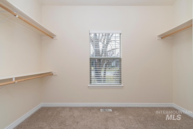 walk in closet featuring carpet floors and visible vents