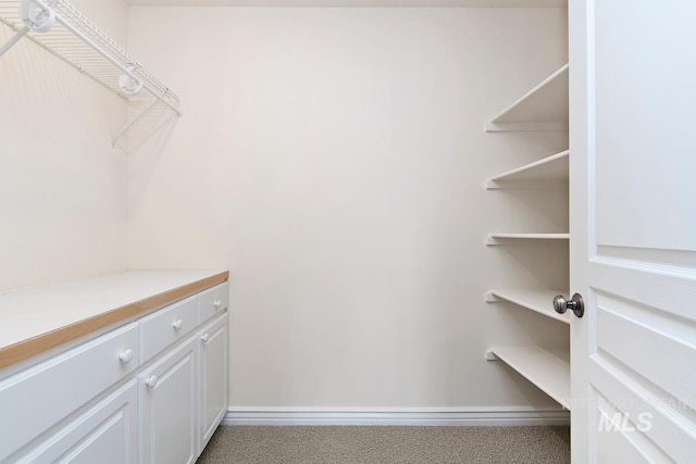 walk in closet featuring carpet floors