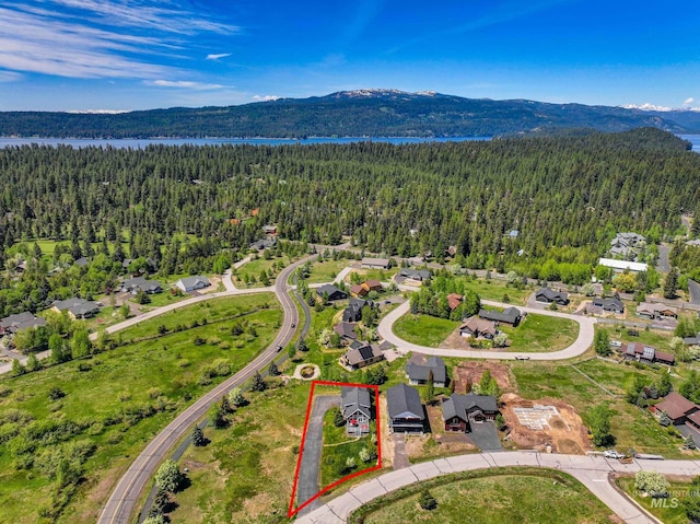 1017 Potts Dr, Mccall, ID 83638 - view of property location with a heavily wooded area, property boundaries highlighted, and a water and mountain view
