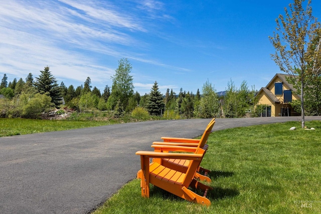 1017 Potts Dr, Mccall, ID 83638 - view of home's community featuring a yard