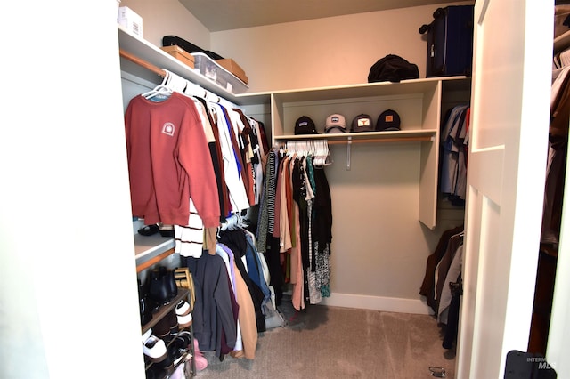 spacious closet featuring carpet