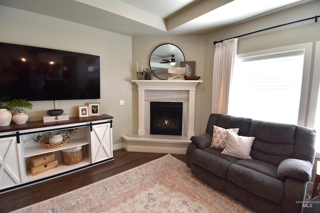 living area featuring a fireplace, baseboards, and wood finished floors