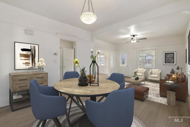 dining room with ceiling fan and wood finished floors