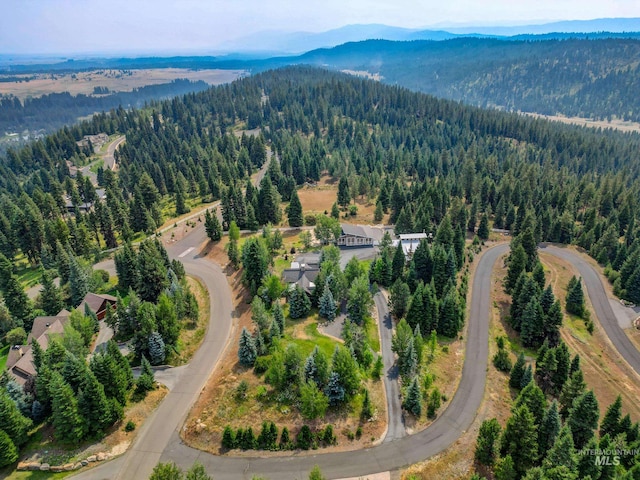 drone / aerial view with a mountain view