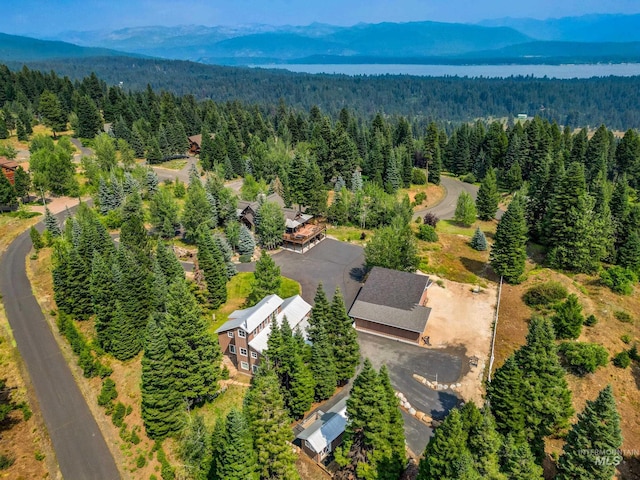 bird's eye view with a mountain view and a view of trees