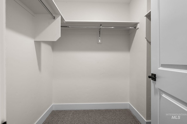 664 E Lockhart St, Meridian, ID 83646 - spacious closet with carpet