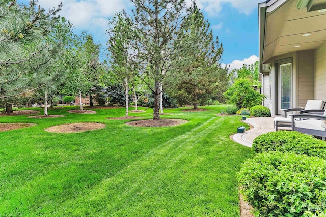 view of green lawn