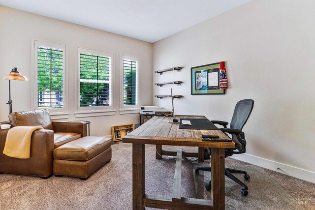 office with carpet floors and baseboards