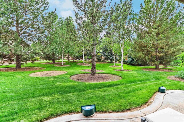 view of green lawn