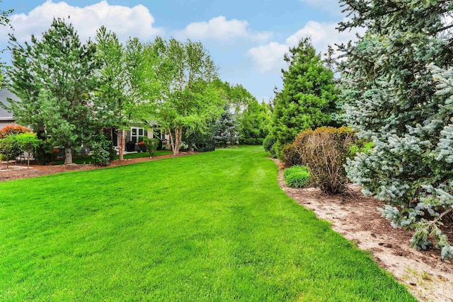 view of grassy yard