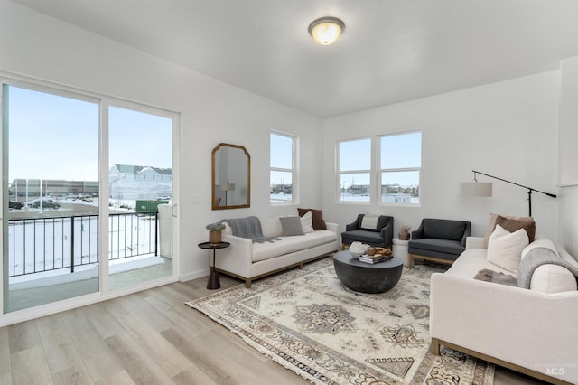 living room with hardwood / wood-style flooring