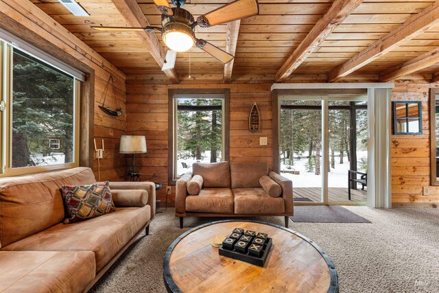 carpeted living room featuring beam ceiling, ceiling fan, wood walls, and wood ceiling