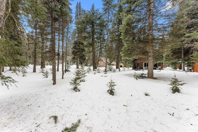 view of yard covered in snow