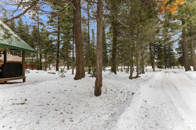 view of yard covered in snow