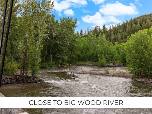 2226 Bonne Vie Condo Dr, Sun Valley, ID 83353 - water view featuring a forest