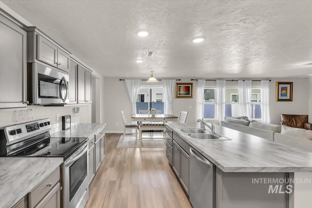1266 S Wiston Ave, Kuna, ID 83634 - kitchen with appliances with stainless steel finishes, gray cabinets, a sink, light wood-style flooring, and open floor plan
