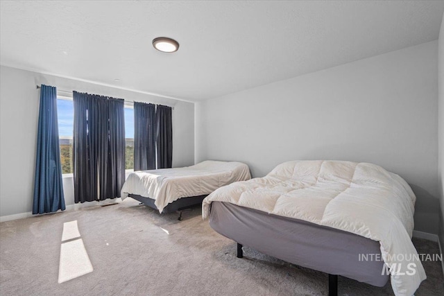 8450 S Bogus Ridge Ave, Boise, ID 83716 - bedroom with carpet flooring and baseboards