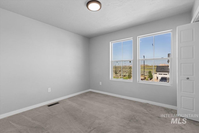 8450 S Bogus Ridge Ave, Boise, ID 83716 - carpeted empty room with baseboards