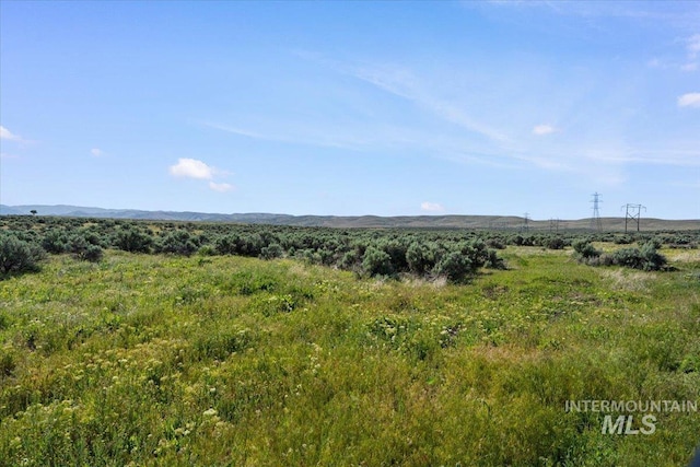 8450 S Bogus Ridge Ave, Boise, ID 83716 - view of local wilderness with a mountain backdrop
