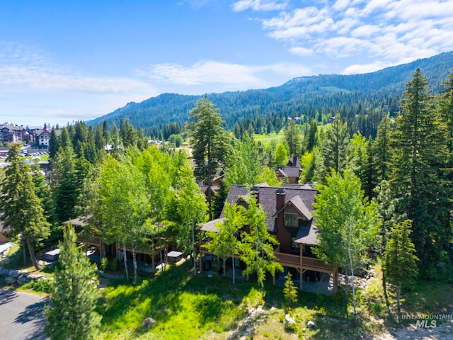 23 Golden Bar Ct, Donnelly, ID 83615 - view of subject property featuring a heavily wooded area and a mountainous background