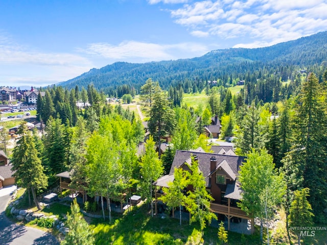 23 Golden Bar Ct, Donnelly, ID 83615 - aerial view of mountains and a forest