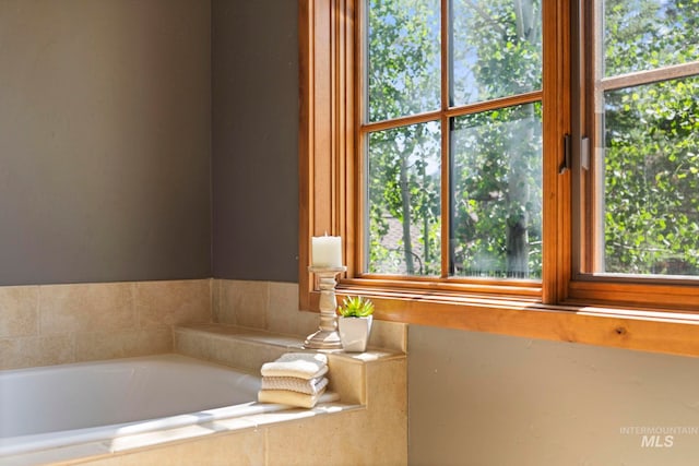 23 Golden Bar Ct, Donnelly, ID 83615 - bathroom with a bath