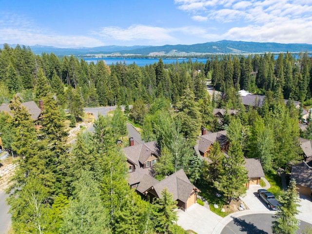 23 Golden Bar Ct, Donnelly, ID 83615 - bird's eye view of a heavily wooded area and a water and mountain view