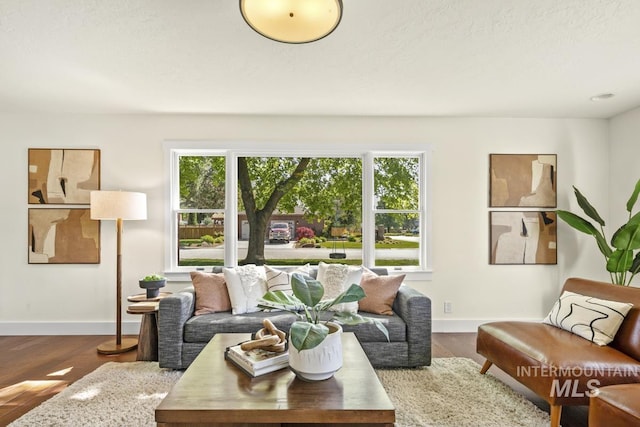 living room featuring baseboards and wood finished floors