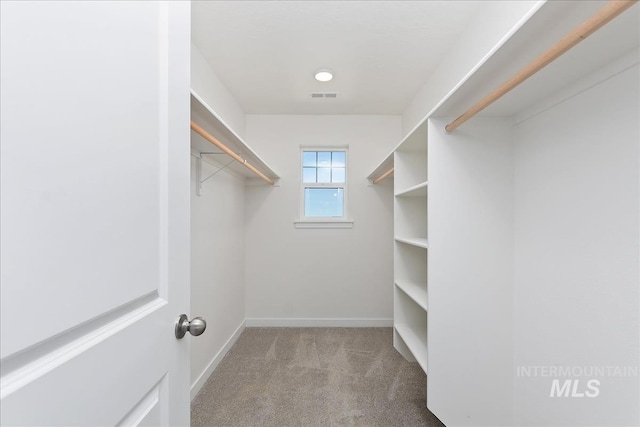 walk in closet featuring light carpet