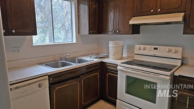 kitchen featuring white appliances, dark brown cabinetry, and sink