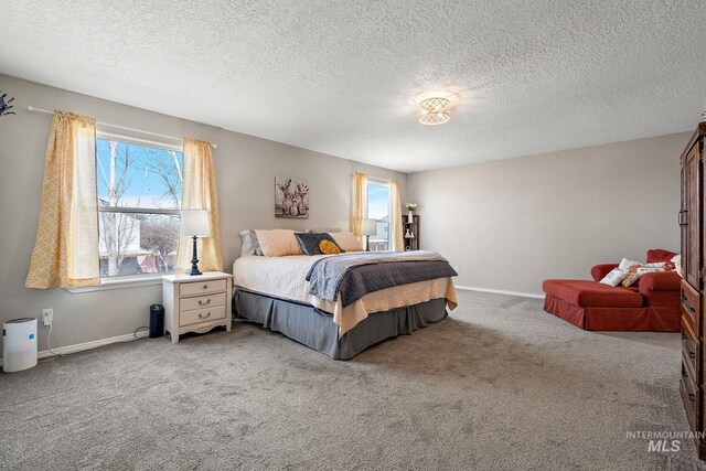 bedroom featuring baseboards, a textured ceiling, and carpet flooring