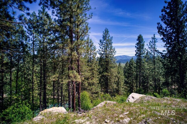 LOT13 Pine Grove, Garden Valley, ID 83622