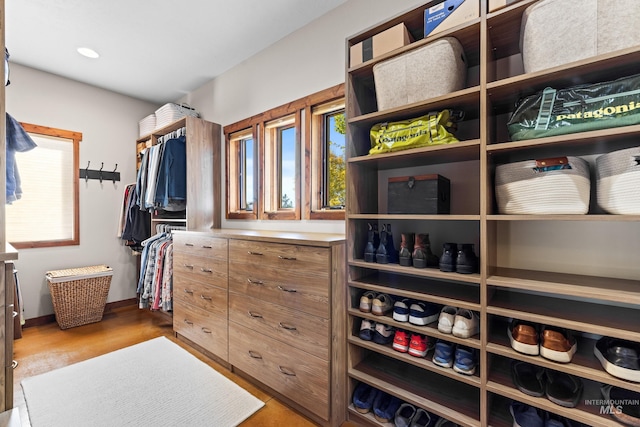 306 Otter Pond Ln, Mccall, ID 83638 - spacious closet with wood finished floors