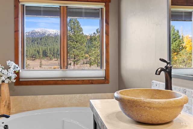 306 Otter Pond Ln, Mccall, ID 83638 - bathroom with vanity and a bath