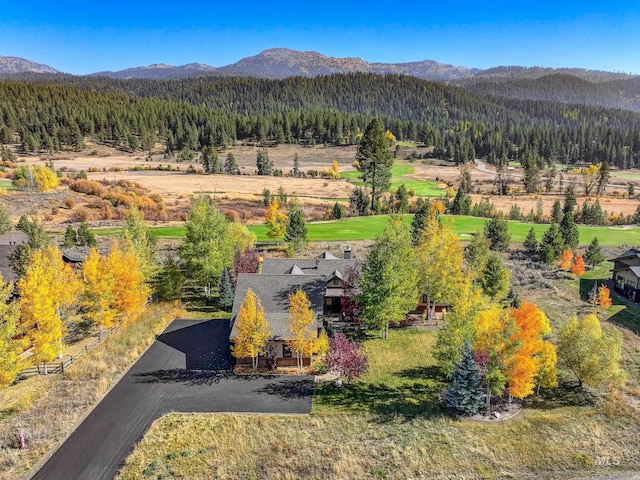 306 Otter Pond Ln, Mccall, ID 83638 - aerial view with a view of trees and a mountain view