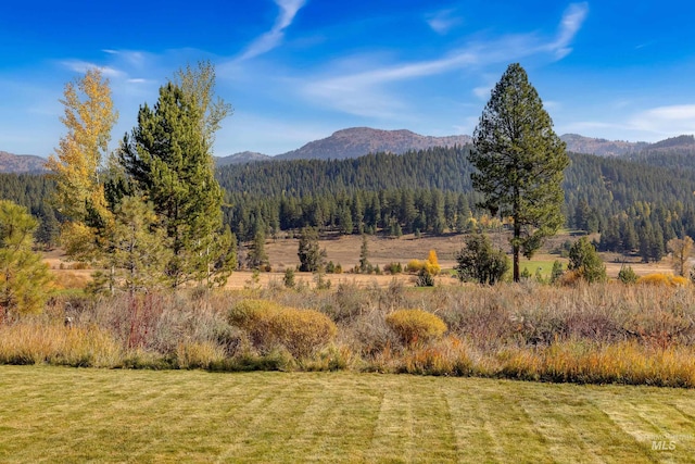 306 Otter Pond Ln, Mccall, ID 83638 - mountain view with a wooded view