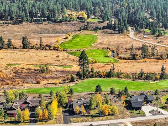 306 Otter Pond Ln, Mccall, ID 83638 - drone / aerial view featuring a view of trees and golf course view