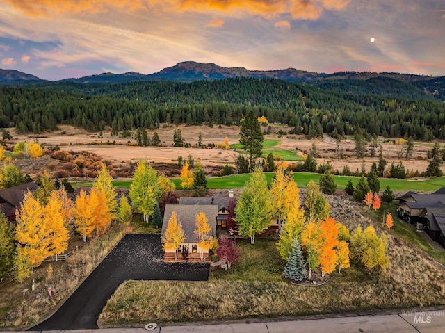 306 Otter Pond Ln, Mccall, ID 83638 - exterior space featuring a view of trees and a mountain view